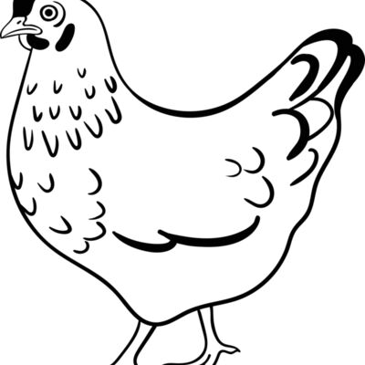 Hen   Clipart 2 Thumbnail
