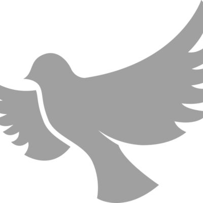 Dove Thumbnail