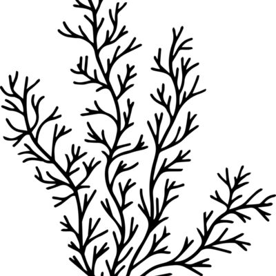 Herb Sprig Thumbnail