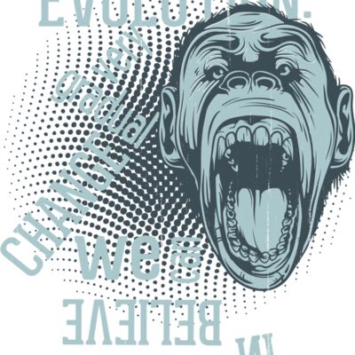 2016 03 14 027 Thumbnail